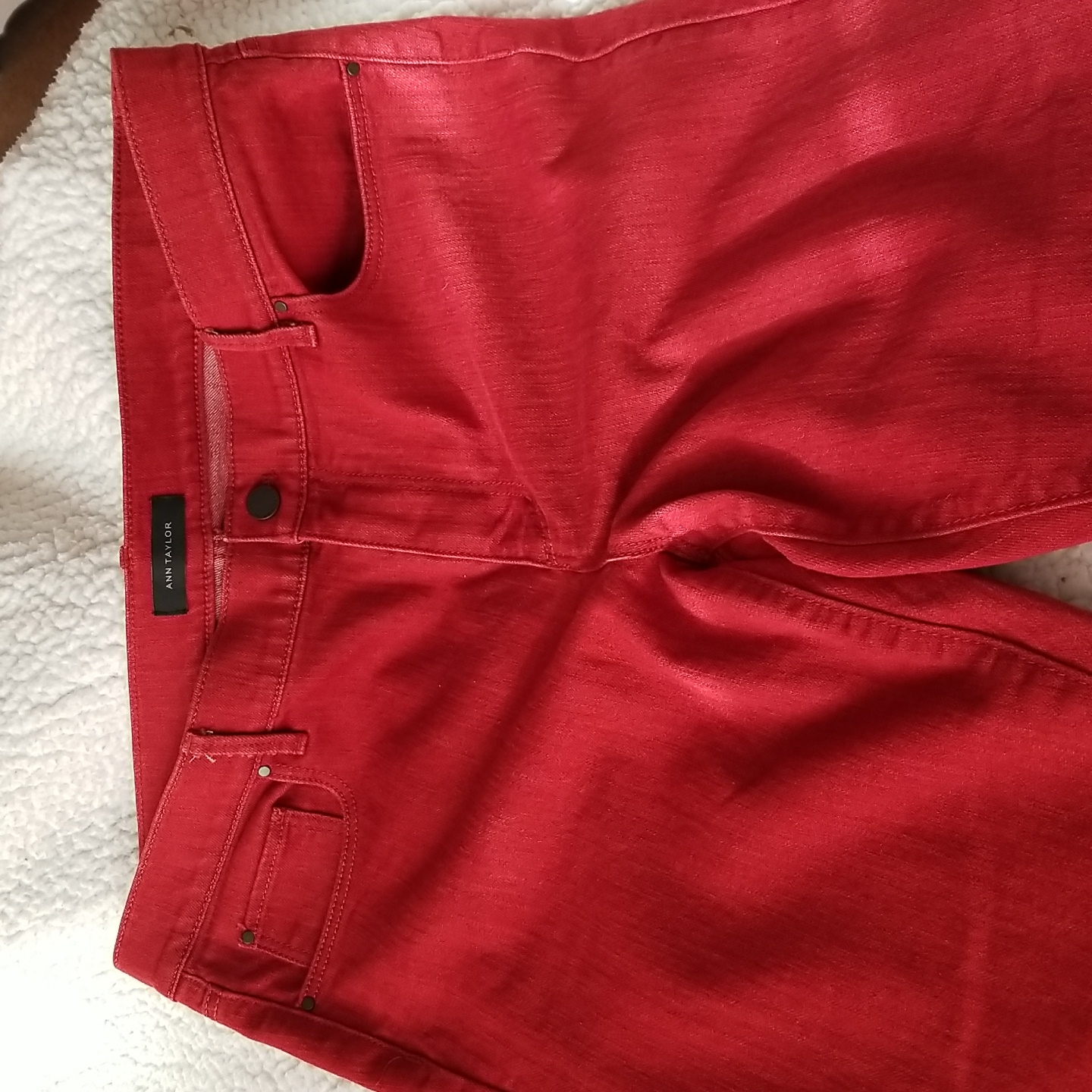 Ann Taylor Brand Ladies Pant
